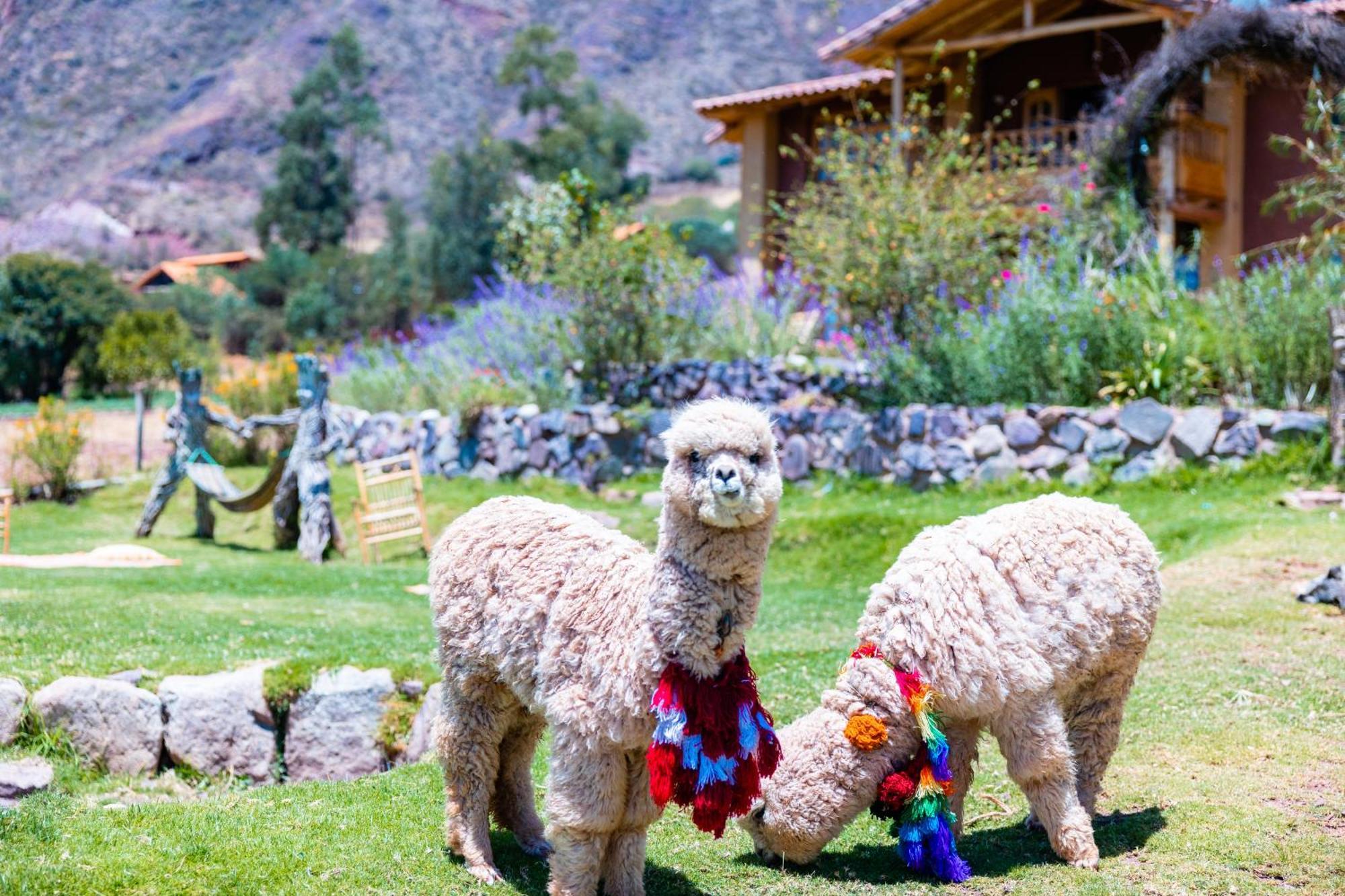 Inkasaire Boutique Lodge Urubamba Buitenkant foto